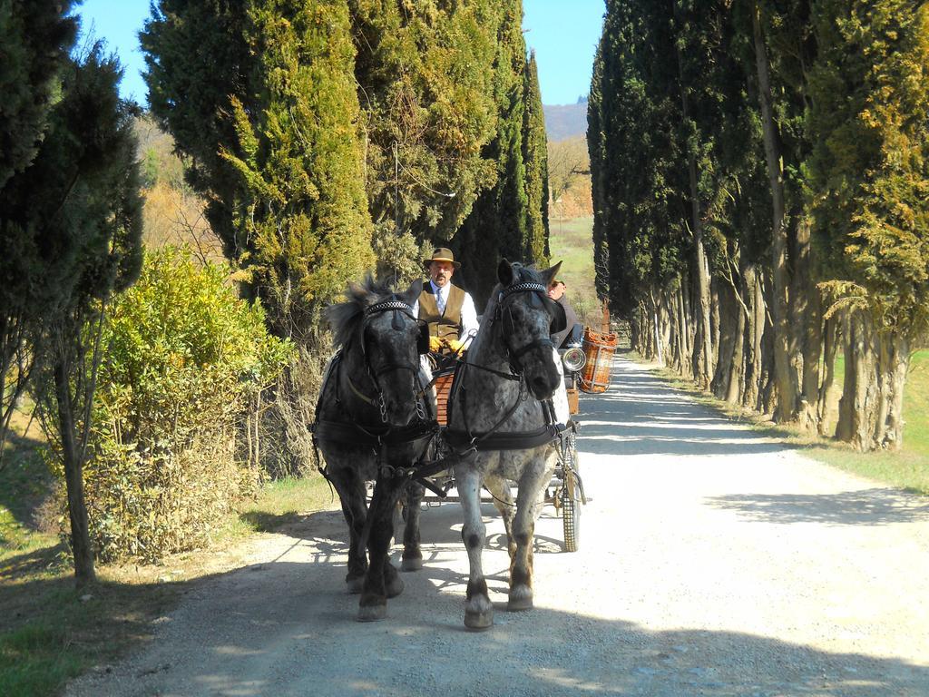 Albergo Giovanni Da Verrazzano Greve in Chianti Eksteriør bilde